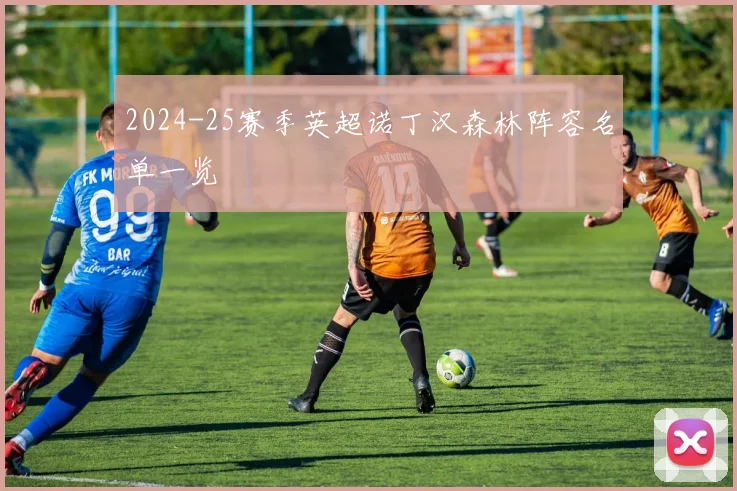 2024-25赛季英超诺丁汉森林阵容名单一览