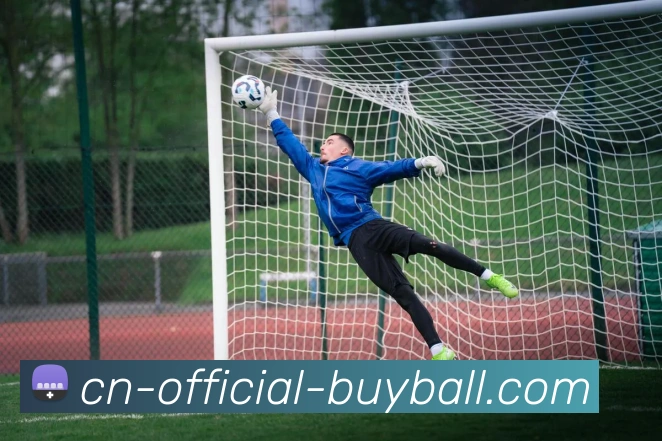 世界杯APP品牌故事